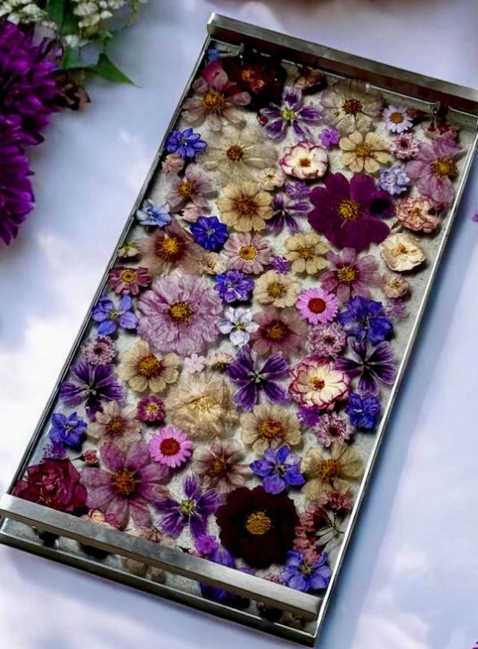 The Flowers And Bloom