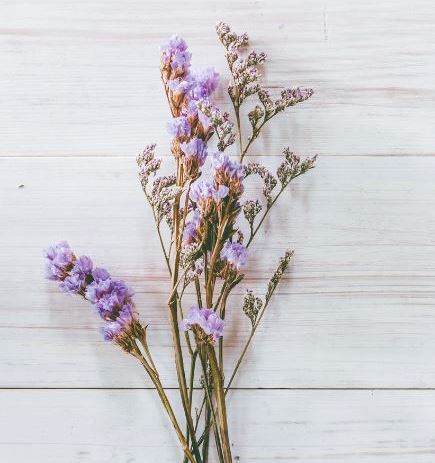 dry flowers for resin: air dry