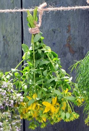 dry flowers for resin: hanging flowers