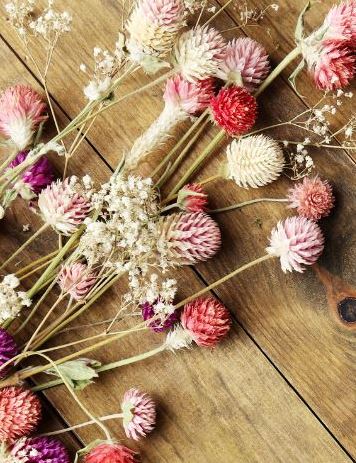 dry flowers for resin: oven drying flowers