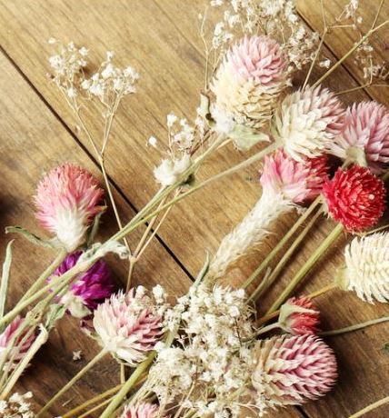 dry flowers for resin: dried flowers from the oven