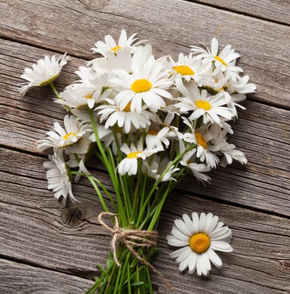 popular flowers for resin: daisies