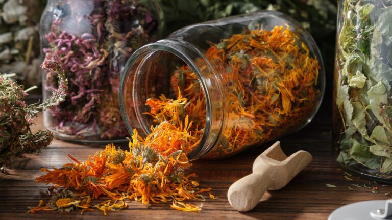 How To Dry Flowers For Resin: 12 Different Ways