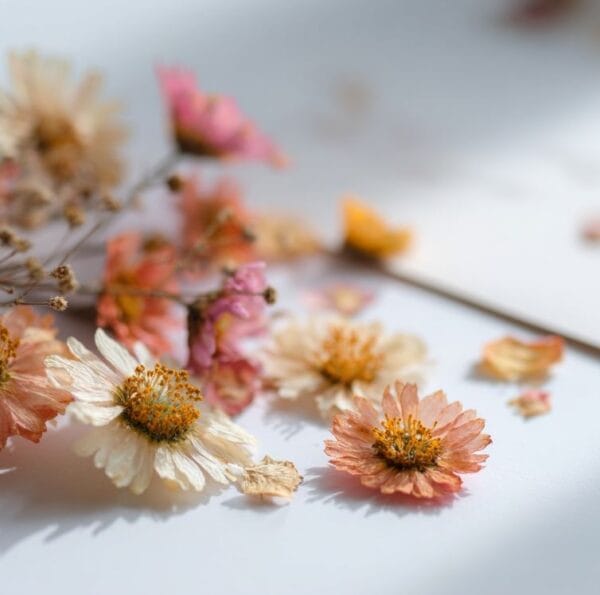 how to dry flowers for epoxy resin
