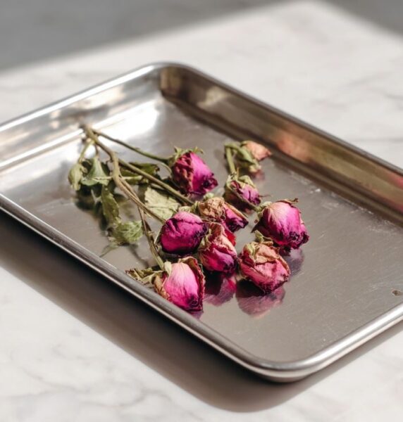 freeze drying flowers