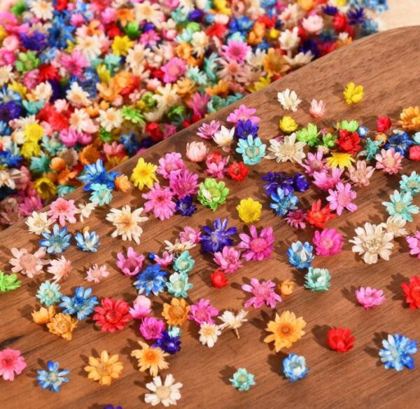 850 PCS Small Dried Flowers for Resin