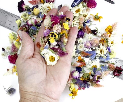 Dried Flower Confetti