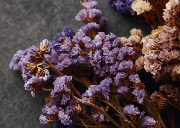 best dried flowers for resin