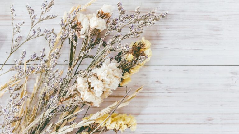 10 Best Dried Flower Kits For Resin