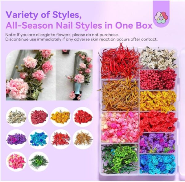 saviland dried flower kits