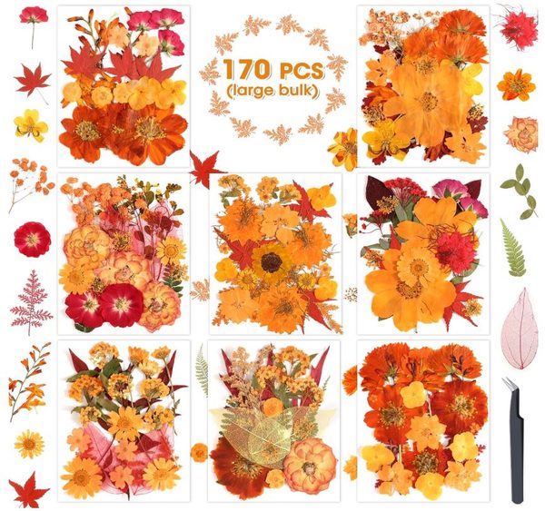 Fall Dried Flower Sets