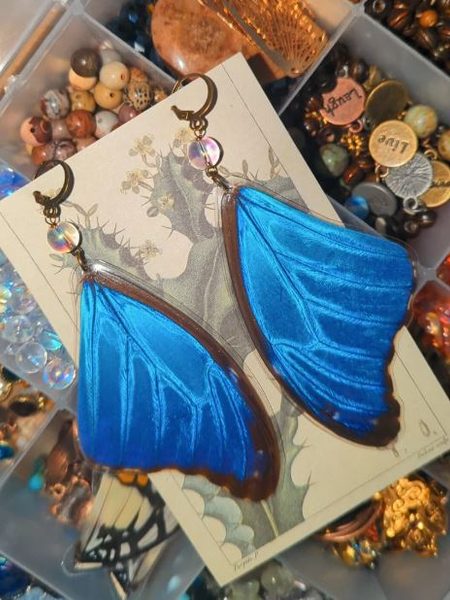 Blue Morpho Butterfly Wing Earrings