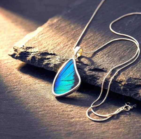 Ethical Butterfly Wing Jewelry