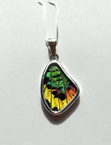 Sunset Moth Wing Pendant