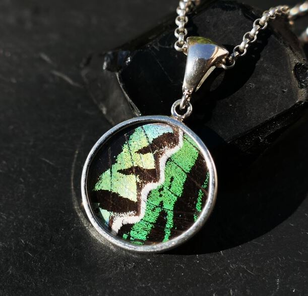 Green Urania Swallowtail Necklace