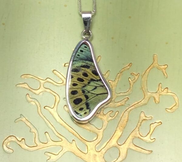 Callithea Philotima Wing Necklace