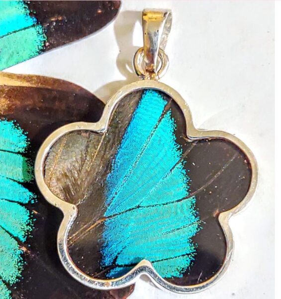 Ethical Butterfly Wing Jewelry